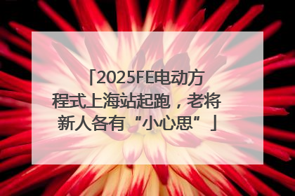 2025FE电动方程式上海站起跑，老将新人各有“小心思”