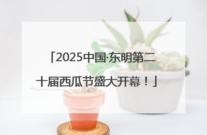 2025中国·东明第二十届西瓜节盛大开幕！
