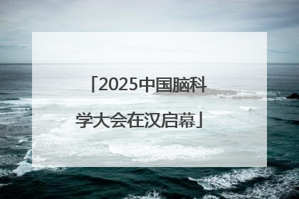 2025中国脑科学大会在汉启幕