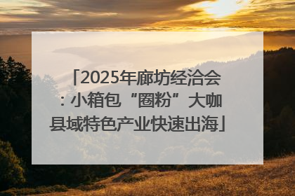 2025年廊坊经洽会：小箱包“圈粉”大咖 县域特色产业快速出海
