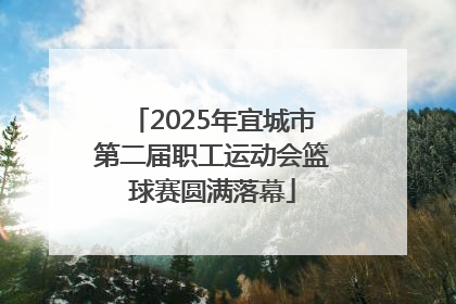 2025年宜城市第二届职工运动会篮球赛圆满落幕