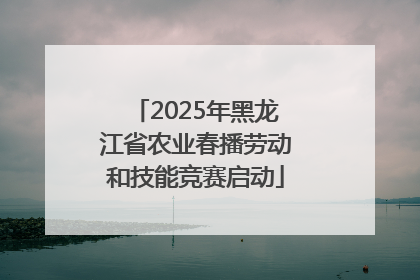 2025年黑龙江省农业春播劳动和技能竞赛启动