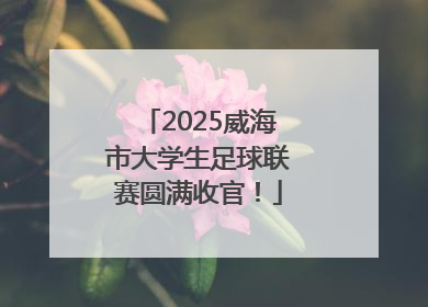 2025威海市大学生足球联赛圆满收官！