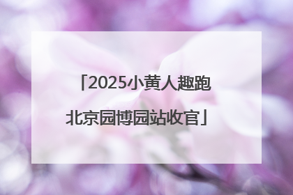 2025小黄人趣跑北京园博园站收官