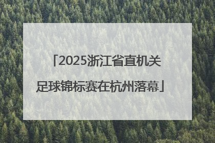2025浙江省直机关足球锦标赛在杭州落幕