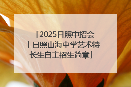 2025日照中招会丨日照山海中学艺术特长生自主招生简章