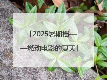 2025暑期档——燃动电影的夏天