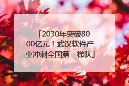 2030年突破8000亿元！武汉软件产业冲刺全国第一梯队