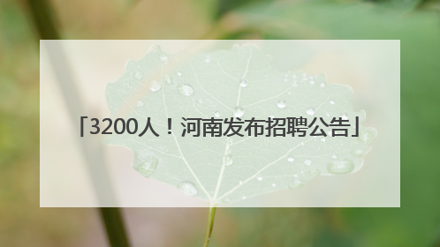3200人！河南发布招聘公告