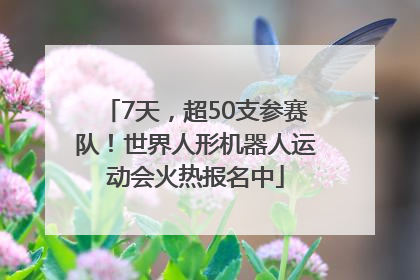 7天，超50支参赛队！世界人形机器人运动会火热报名中