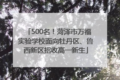 500名！菏泽市万福实验学校面向牡丹区、鲁西新区招收高一新生