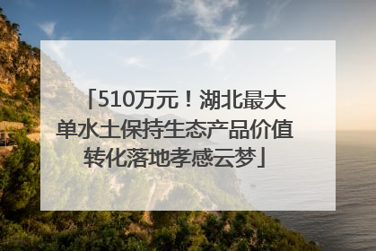 510万元！湖北最大单水土保持生态产品价值转化落地孝感云梦
