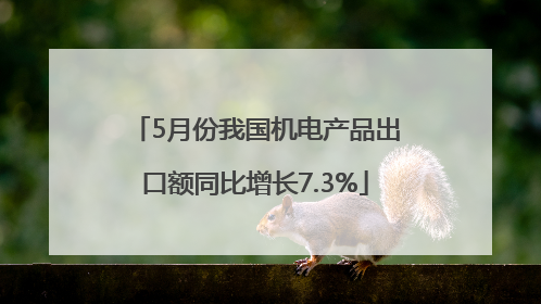 5月份我国机电产品出口额同比增长7.3%