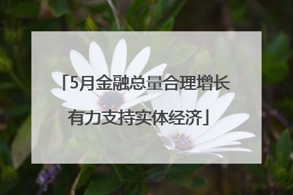 5月金融总量合理增长 有力支持实体经济