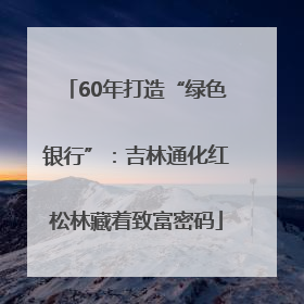 60年打造“绿色银行”：吉林通化红松林藏着致富密码