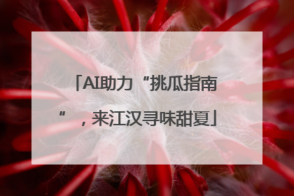 AI助力“挑瓜指南”，来江汉寻味甜夏