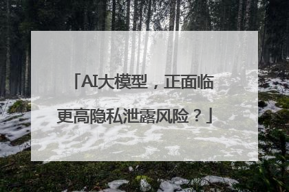 AI大模型，正面临更高隐私泄露风险？