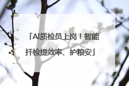 AI质检员上岗！智能扦检提效率、护粮安