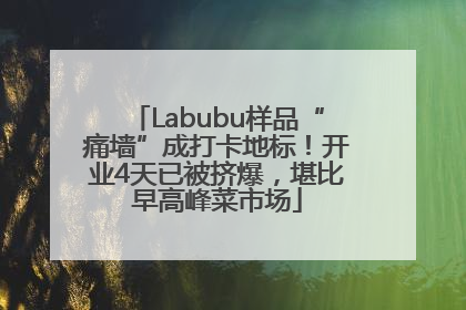 Labubu样品“痛墙”成打卡地标！开业4天已被挤爆，堪比早高峰菜市场