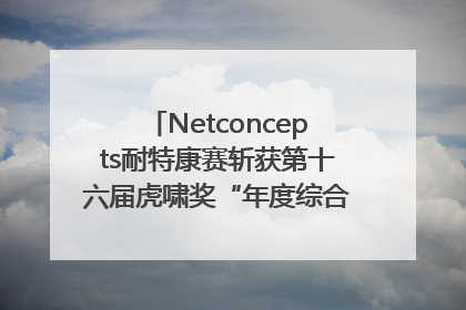 Netconcepts耐特康赛斩获第十六届虎啸奖“年度综合服务商”大奖